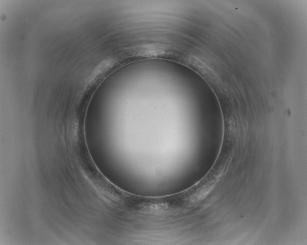 X0000073730304200608031336