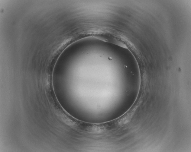 X0000073730305200608031336