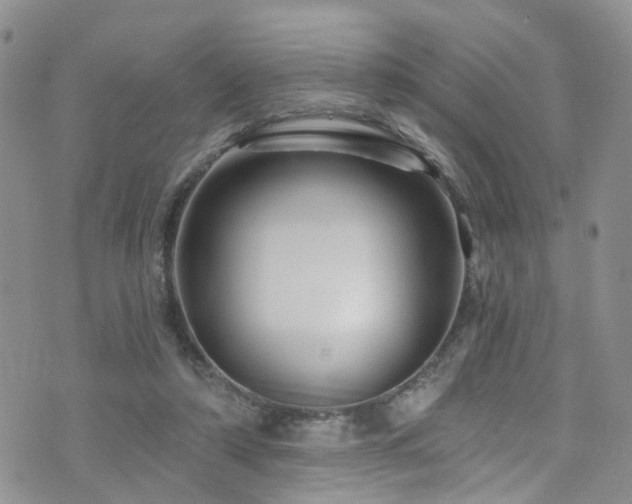 X0000073730306200608031336