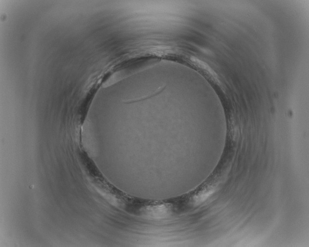 X0000073730307200608031336