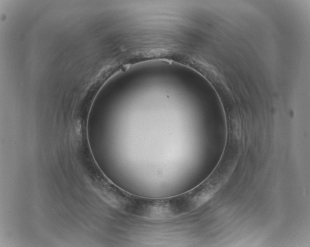 X0000073730308200608031336