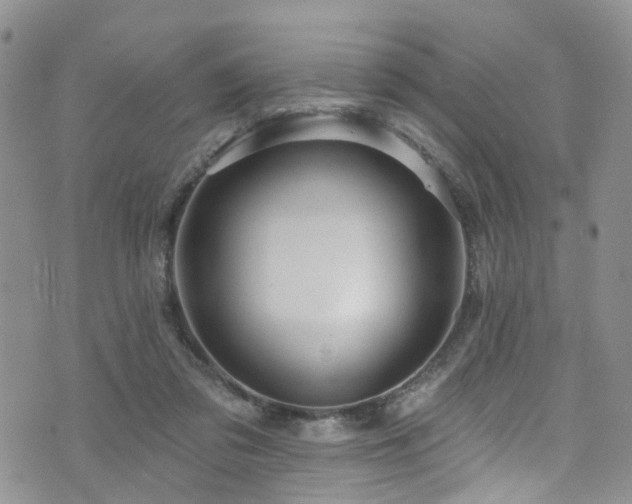 X0000073730309200608031336