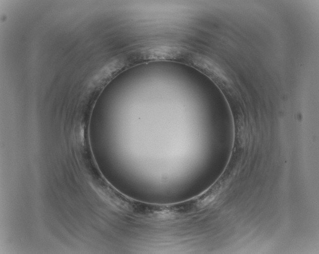 X0000073730310200608031336