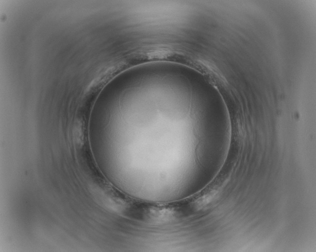 X0000073730311200608031336