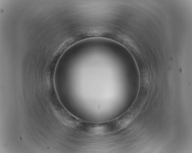 X0000073730312200608031336