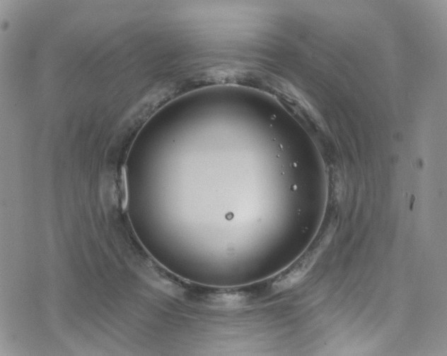 X0000073730313200608031336