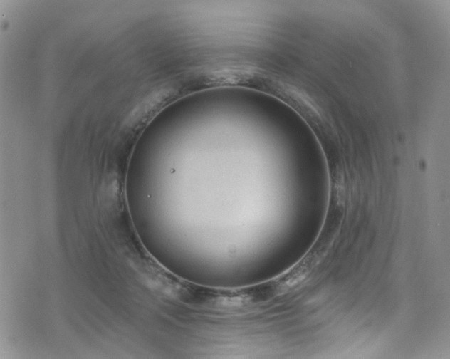 X0000073730314200608031336