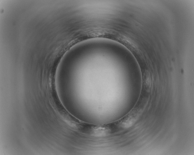 X0000073730315200608031336