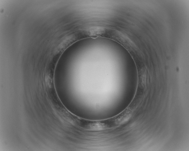 X0000073730316200608031336