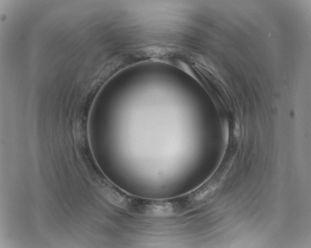 X0000073730317200608031336