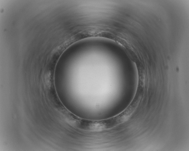 X0000073730319200608031336