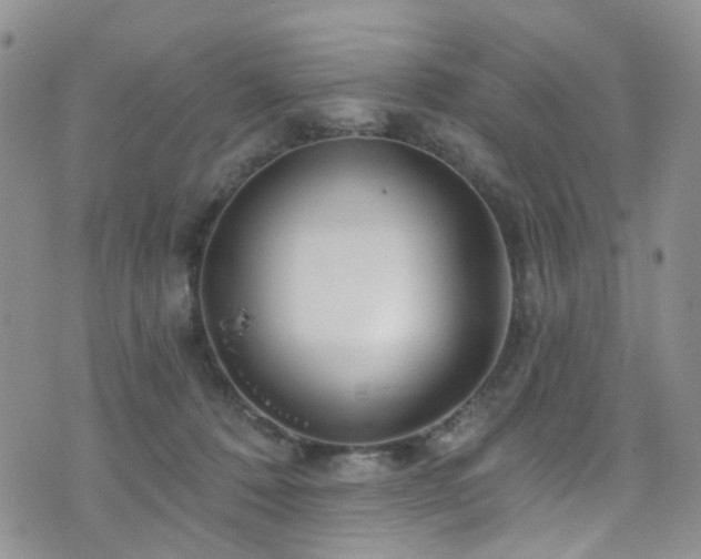 X0000073730320200608031336