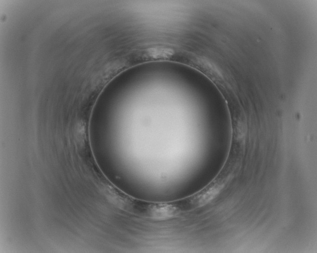 X0000073730321200608031336