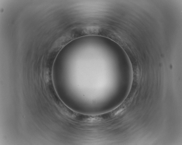 X0000073730323200608031336