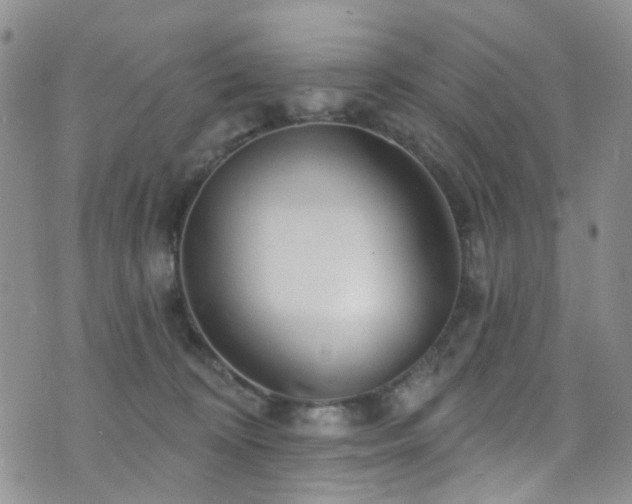 X0000073730324200608031336