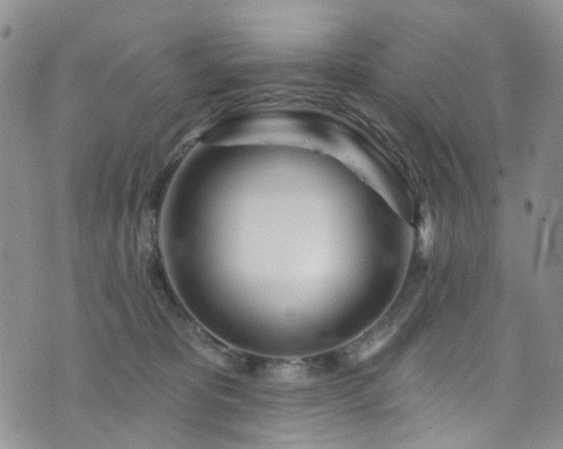 X0000073730325200608031336