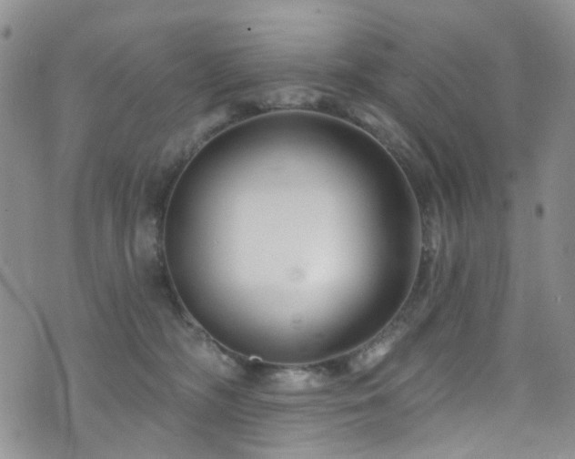 X0000073730326200608031336