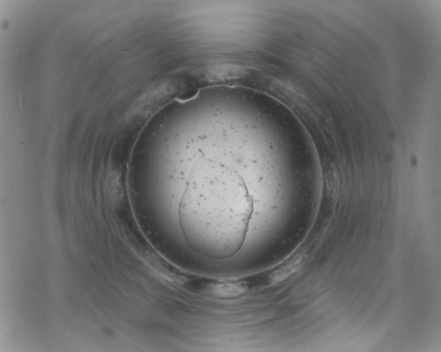 X0000073730327200608031336