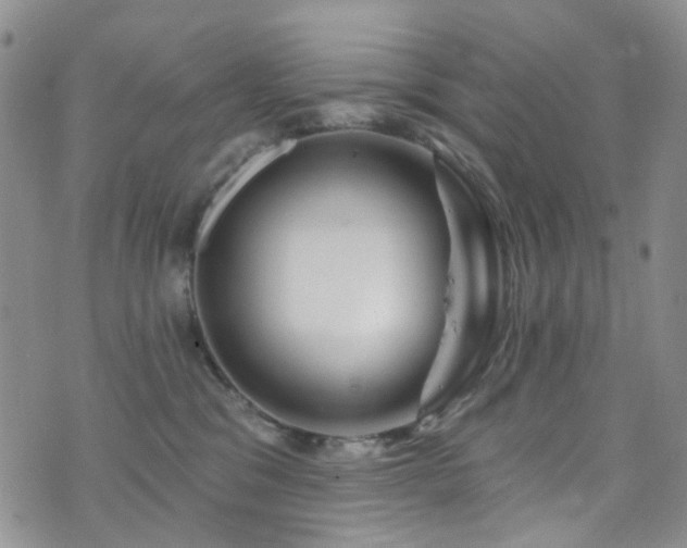 X0000073730329200608031336