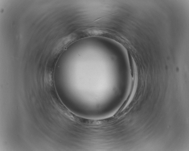 X0000073730330200608031336