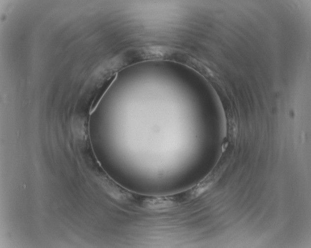 X0000073730331200608031336