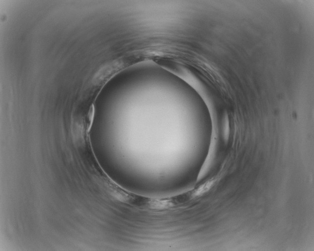 X0000073730333200608031336