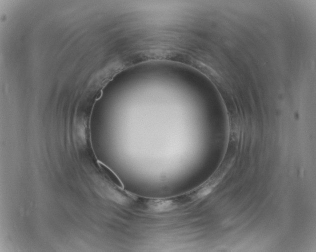 X0000073730334200608031336