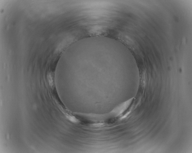 X0000073730335200608031336