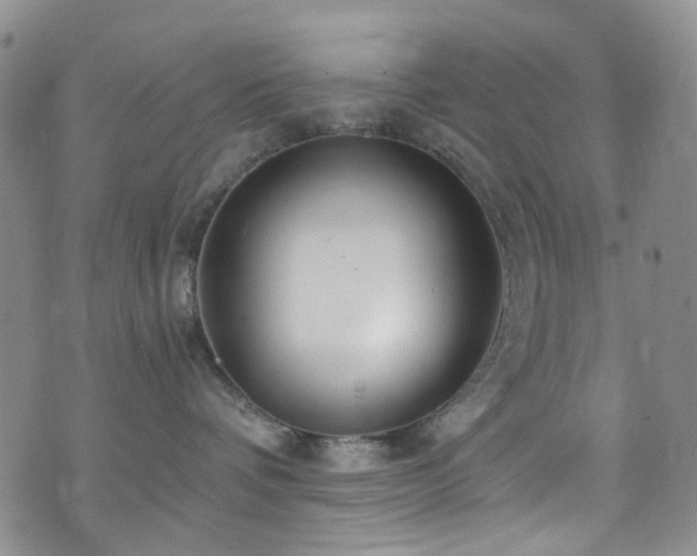 X0000073730336200608031336