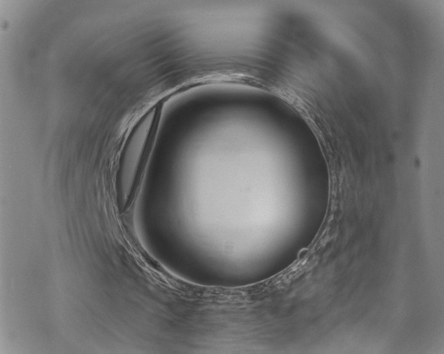 X0000073730337200608031335