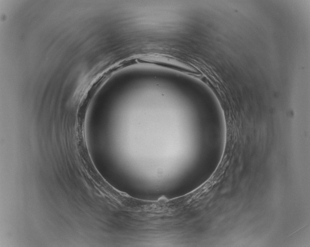 X0000073730338200608031335