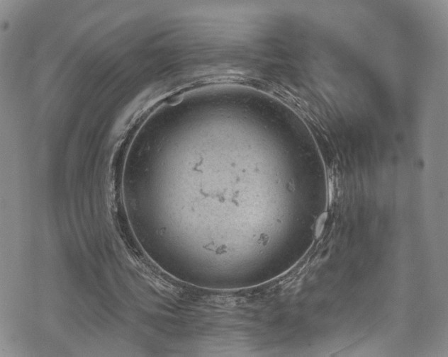 X0000073730339200608031335