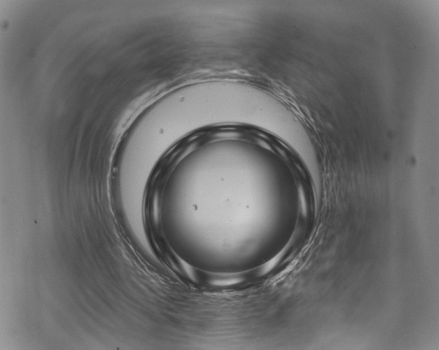 X0000073730340200608031335