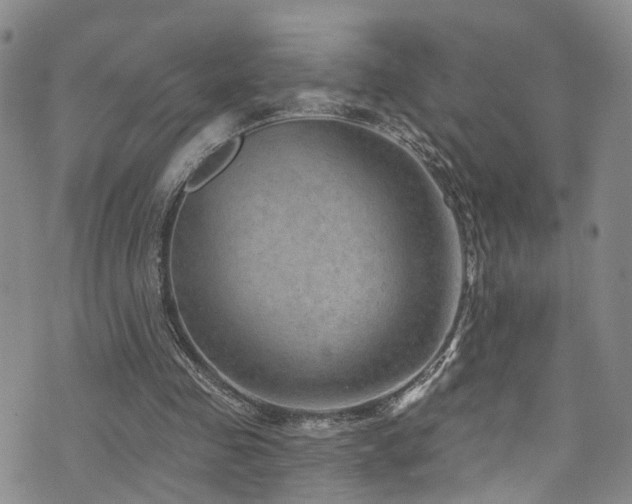 X0000073730341200608031335