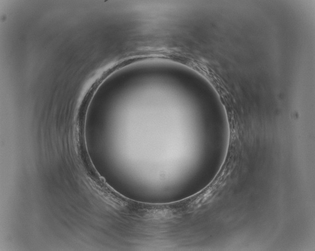 X0000073730342200608031335