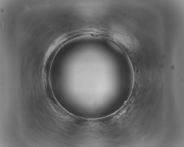 X0000073730343200608031335