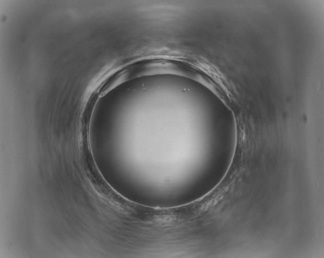 X0000073730344200608031335