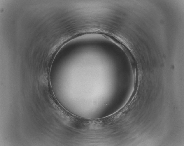 X0000073730345200608031335