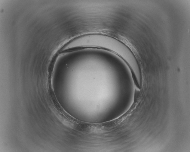 X0000073730346200608031335