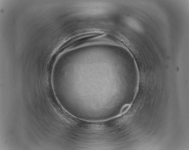 X0000073730347200608031335