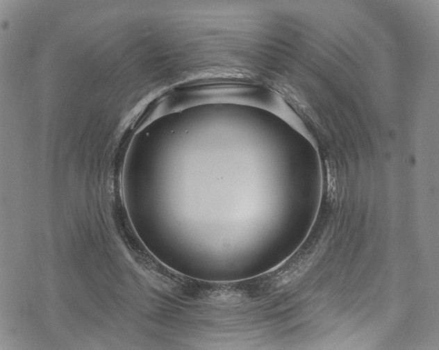 X0000073730348200608031335