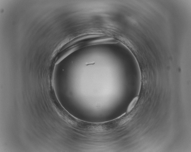 X0000073730349200608031335