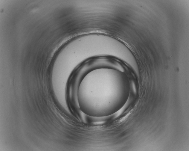 X0000073730350200608031335