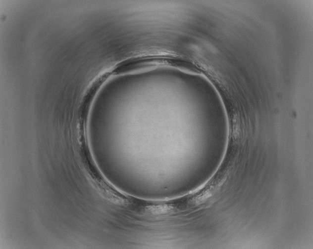 X0000073730351200608031335