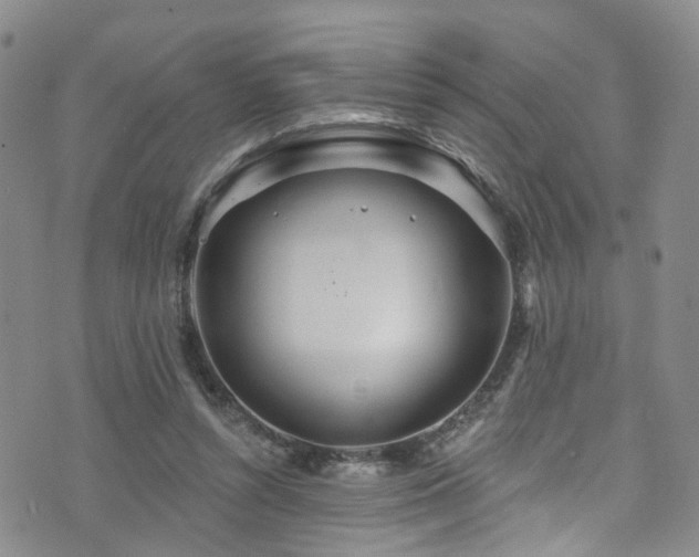 X0000073730352200608031335