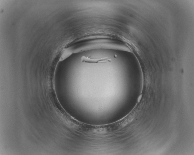 X0000073730353200608031335