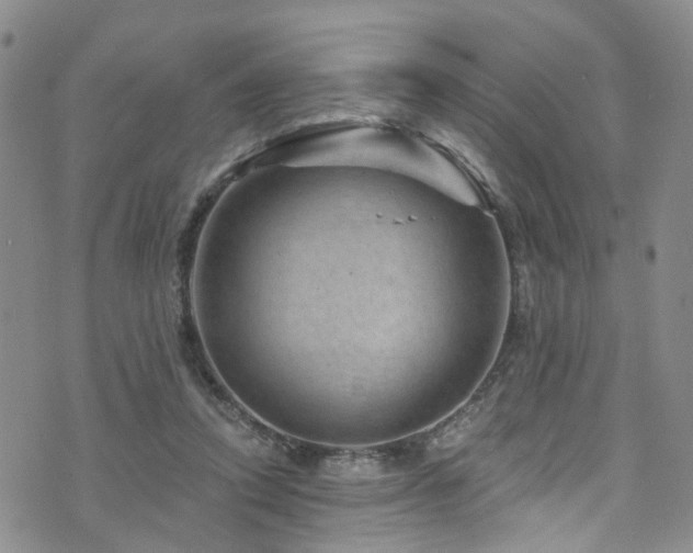 X0000073730354200608031335