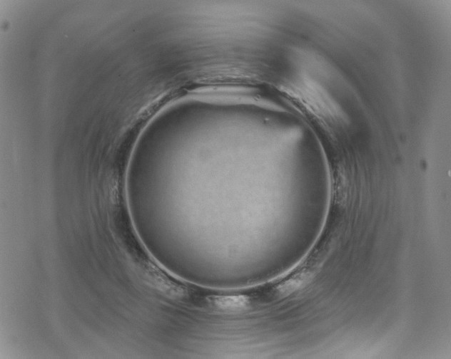 X0000073730355200608031335