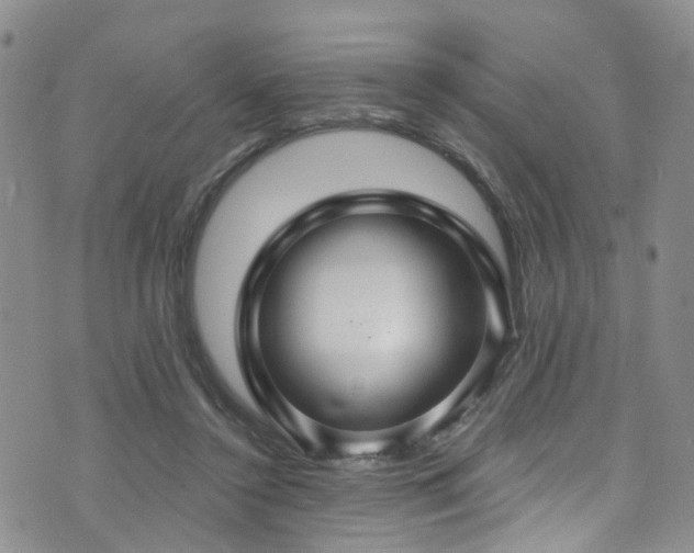 X0000073730356200608031335