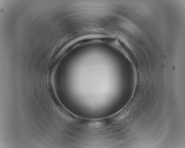 X0000073730357200608031335